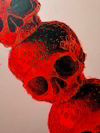 Image 4 of Skullberries