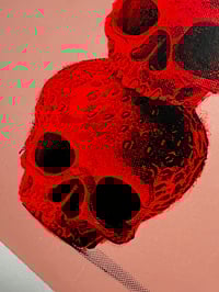 Image 5 of Skullberries