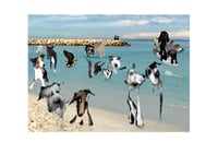 Fine art print: 'Heat wave'