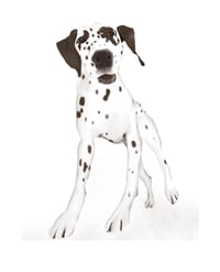 Fine art print: 'Ready now'