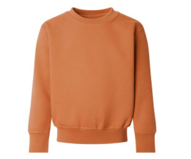 Image of Autumn Sprinkles - Caramel Sweater