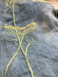 Image 4 of Project bag - Ammi majus