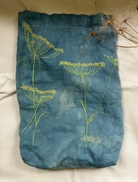 Image 1 of Project bag - Ammi majus
