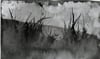 paysage 13
