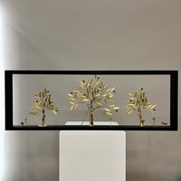 Harvest Of The Olive 35x100cm