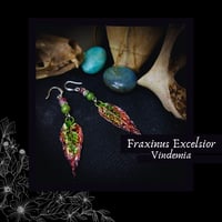 Image 1 of ☽ Fraxinus Vindemia ☾