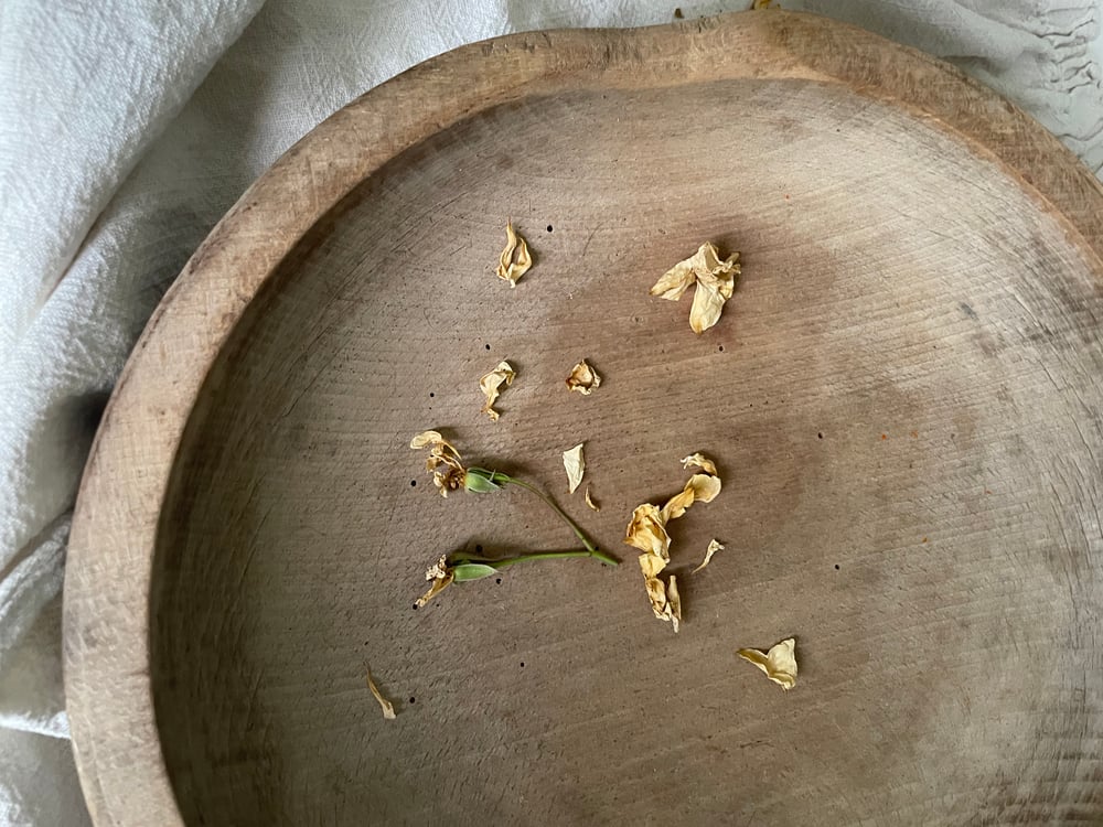 Image of Dairy Bowl 