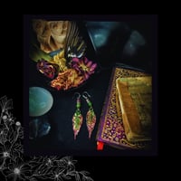 Image 2 of ☽ Fraxinus Vindemia ☾