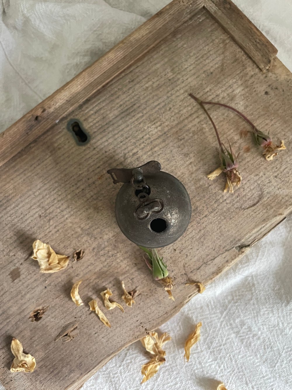 Image of Old French Goat Bell (1)