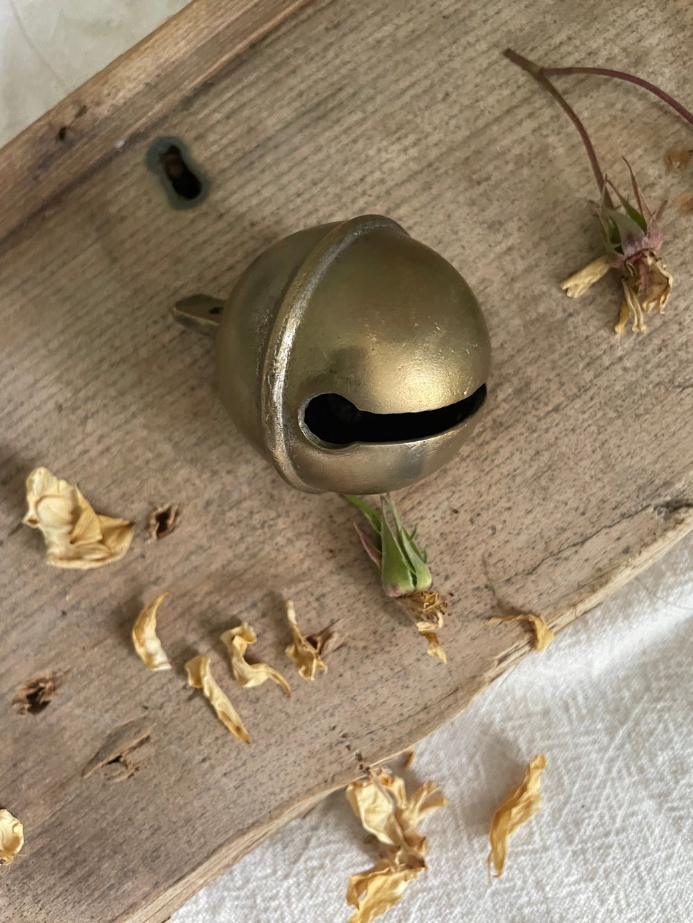 Image of French Goat Bell (2)