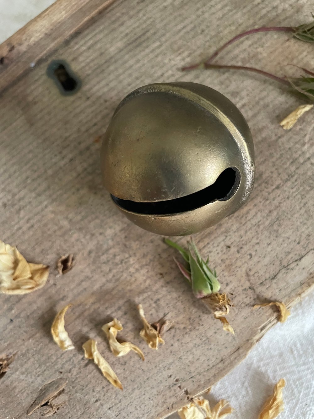 Image of French Goat Bell (2)