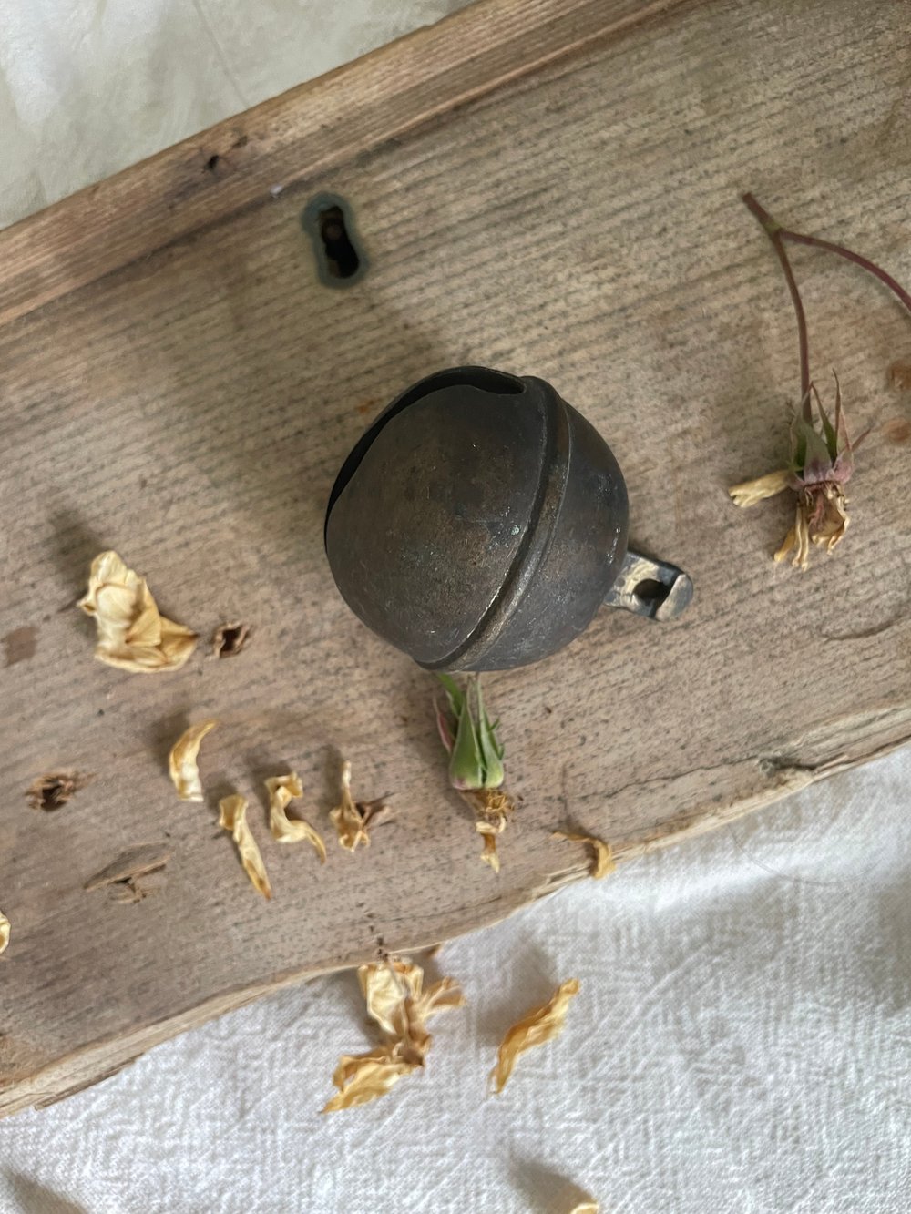 Image of French Goat Bell (3)