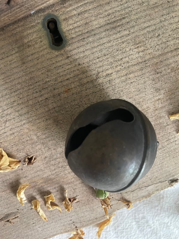 Image of French Goat Bell (3)
