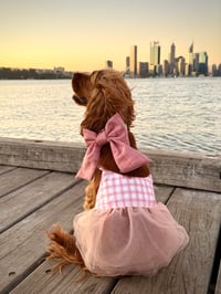 Sugar Plaid - Dog Bow