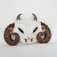 Image 1 of Aries Horn Bies