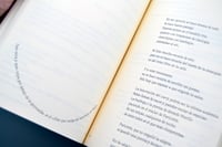 Image 4 of Brillo 5: ghani, ghani