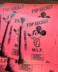 Image 2 of Subscribe to dummy and get more stuff!