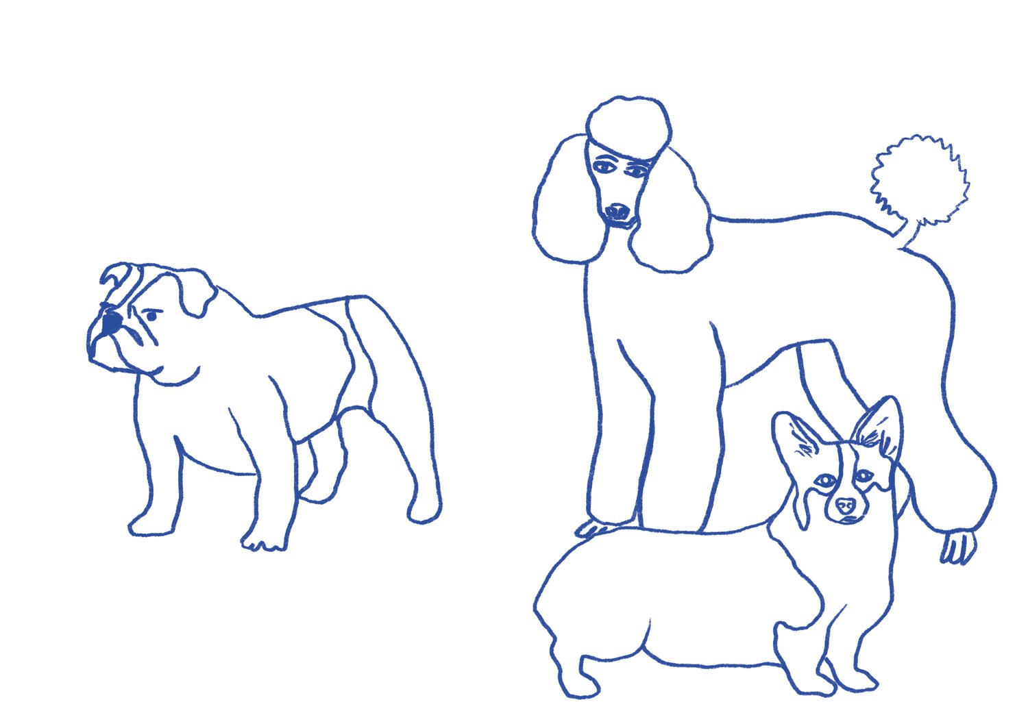 Image of Carnet de coloriage //TEMPS DE CHIEN//