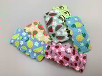 Image 1 of More Fruit Snap Clips