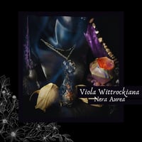 Image 1 of ☽ Viola Nera Aurea ☾