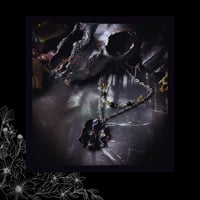 Image 2 of ☽ Viola Nera Aurea ☾