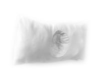 ‘Dream Job’, 2024