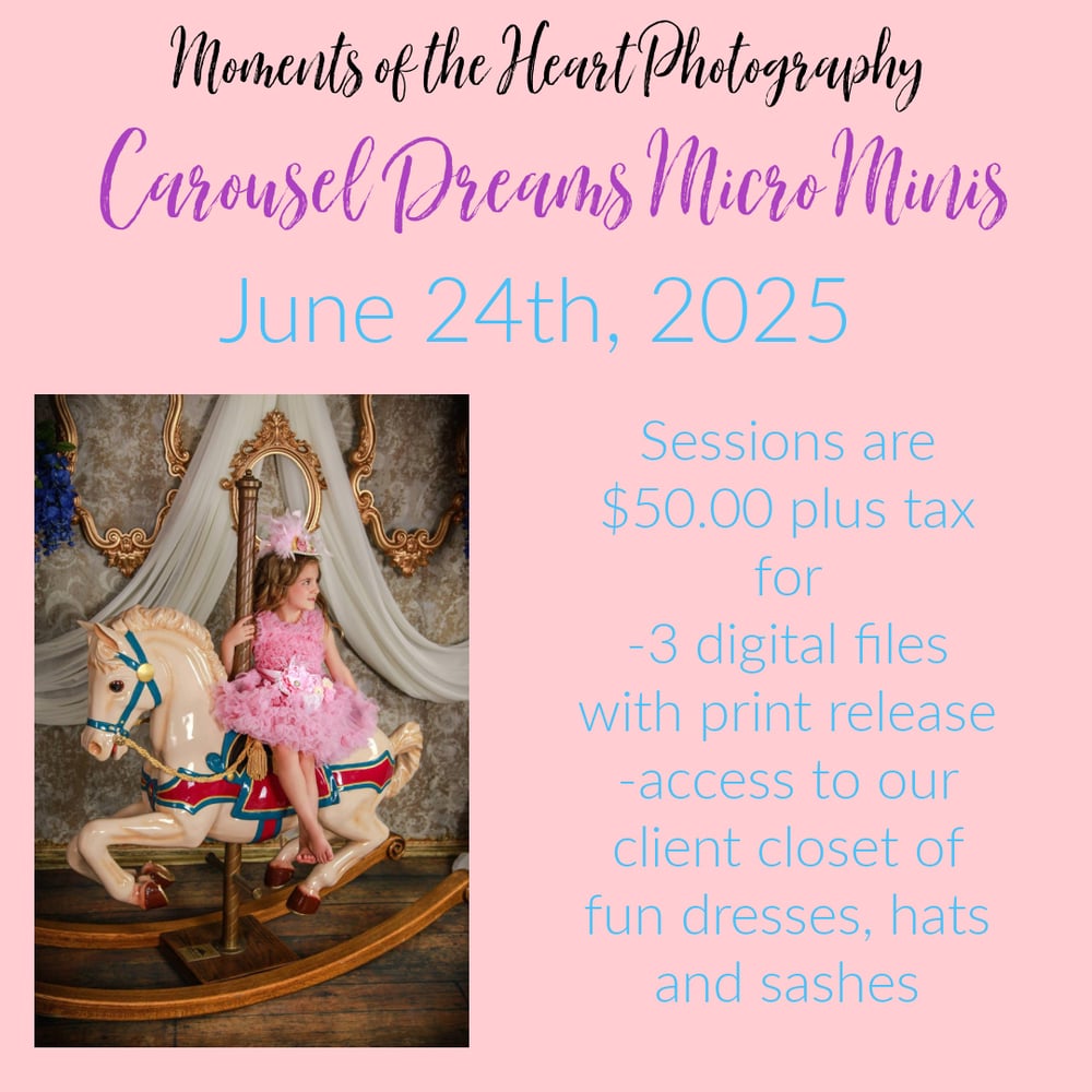 Image of June 24th -Carousel Dreams- Micro Mini Sessions
