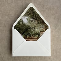 Image 3 of Adelia French Floral Crest and Olive trees fine art landscape PACK of 10