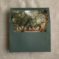 Image 4 of Adelia French Floral Crest and Olive trees fine art landscape PACK of 10