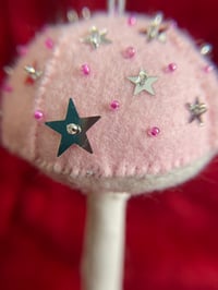 Image 1 of Pink Moon