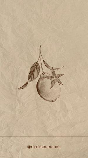 O Fruto