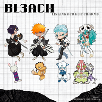 Image 1 of BL3ACH LINKING CHARMS