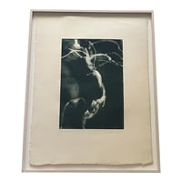 Image 1 of Michael Mazur Original Monoprint, Titled 'Bonsai', Signed, Numbered 1/1, Dated '97