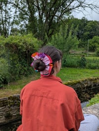 Image 2 of Chouchou pastèque