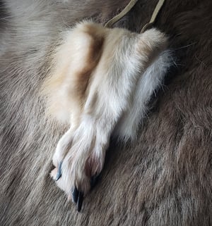 Image of Wolf Paw Bag