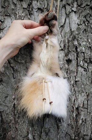 Image of Wolf Paw Bag