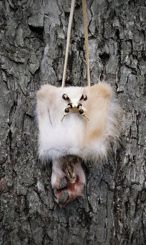 Image of Wolf Paw Bag