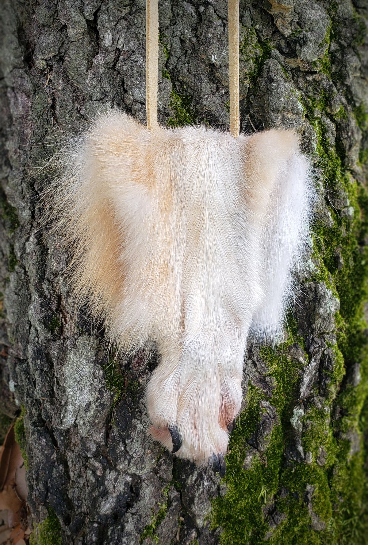 Image of Wolf Paw Bag