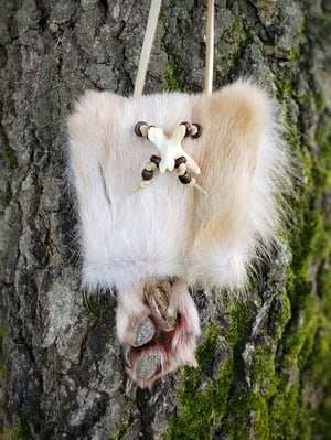 Image of Wolf Paw Bag