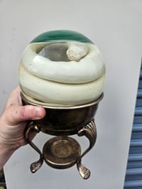 Image 2 of Ball Python