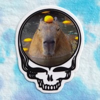 Capy Stealie Sticker