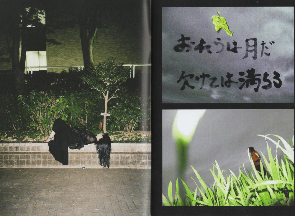 Image of IPG002: Shibori 2.8 Vol.2