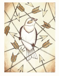 Bird & Arrows Print