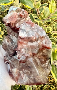 Image 3 of CHOCOLATE CALCITE FROM FUJI