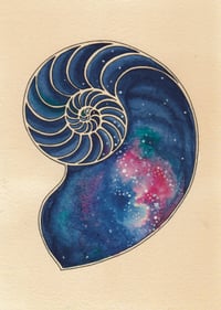 Nautilus Galaxy Print