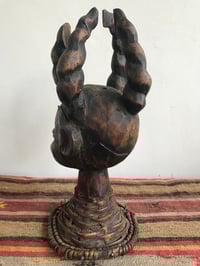Image 4 of Early 20th Century Awesome and Authentic Ekoi Ejagham Horned Figure Head Dress Southern Nigeria