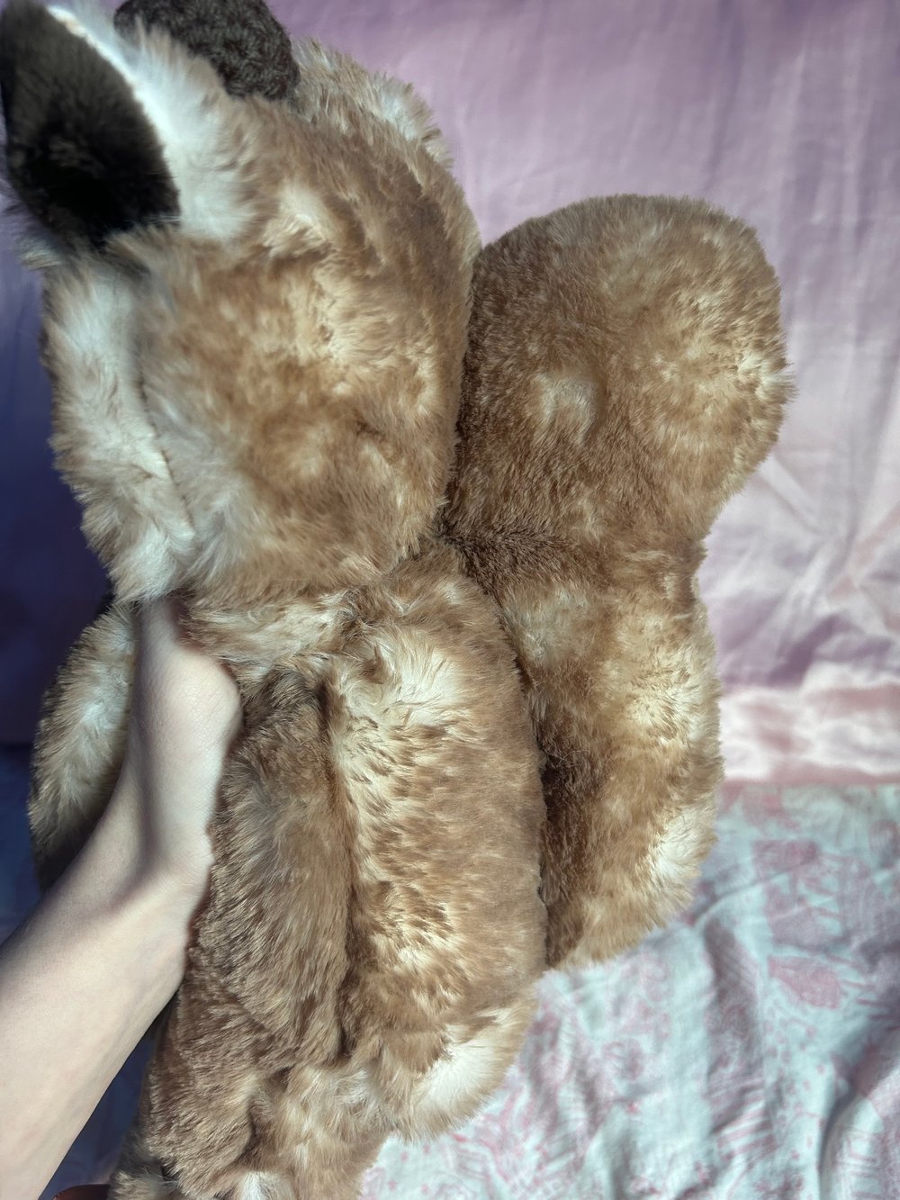Image of sammy the squirrel