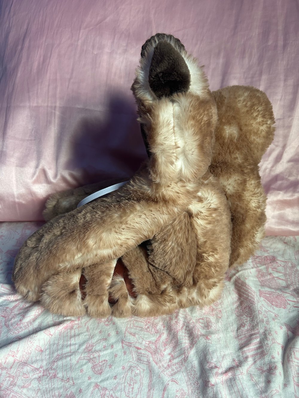 Image of sammy the squirrel