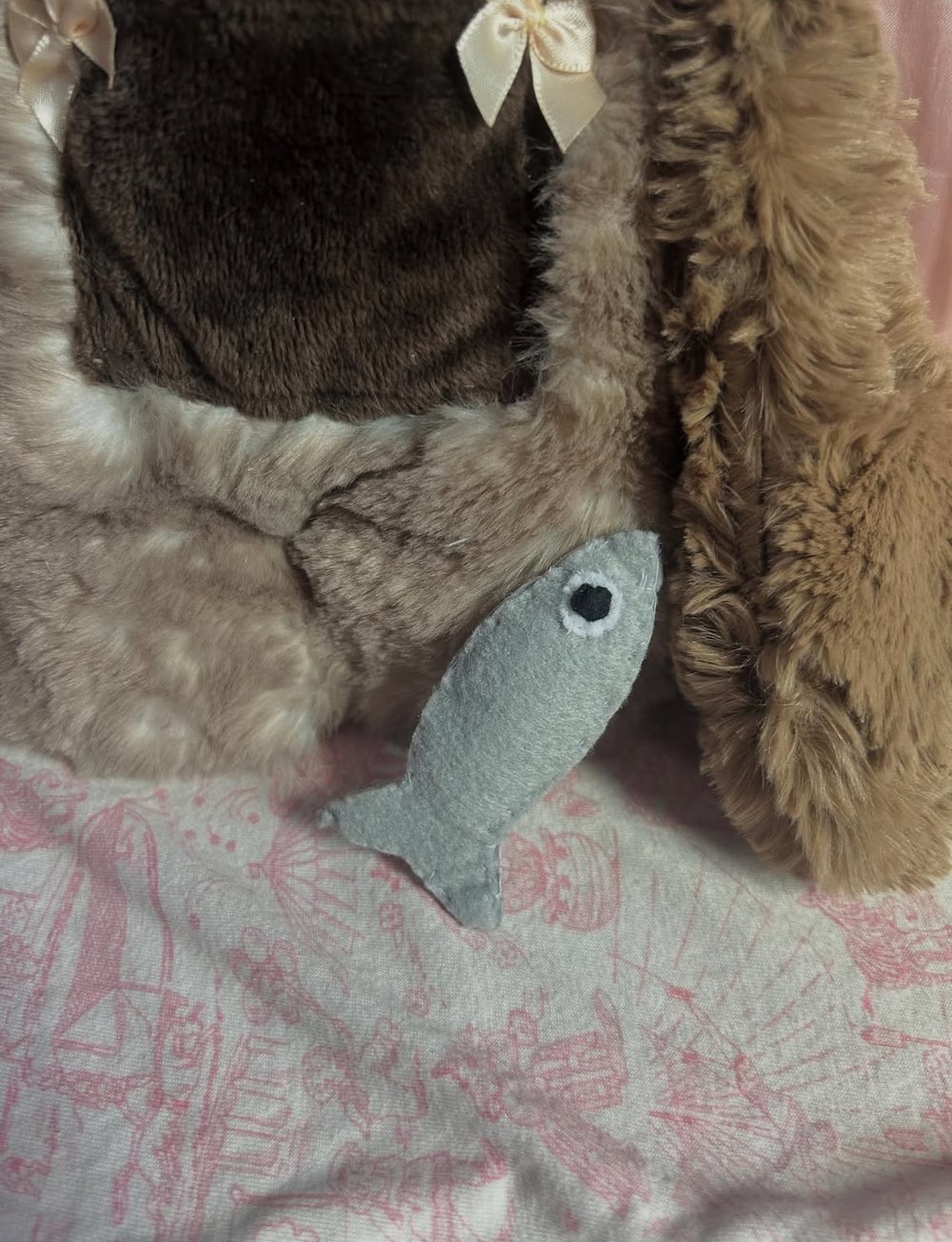 Image of river the bear