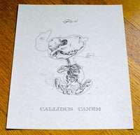 Callidus Canem (Snoopy)